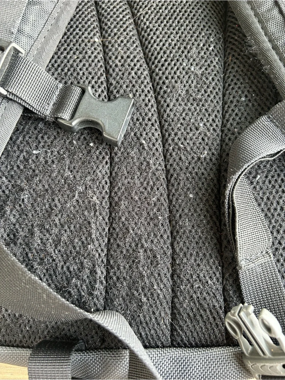 The North Face Gray and Black Backpack with Mesh Pockets